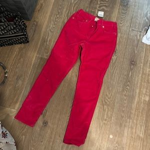 Size 12 crewcuts fushia cords